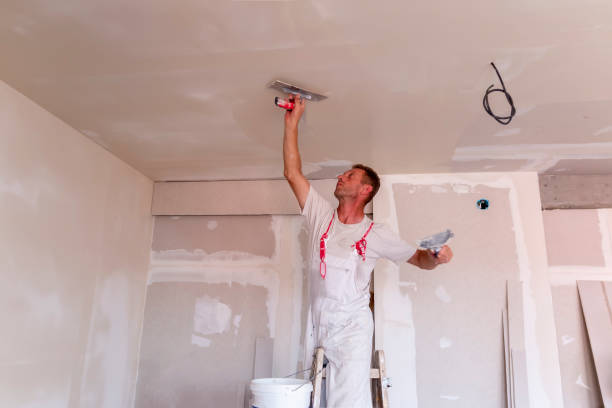 Best Residential Drywall Installation  in Kirksville, MO